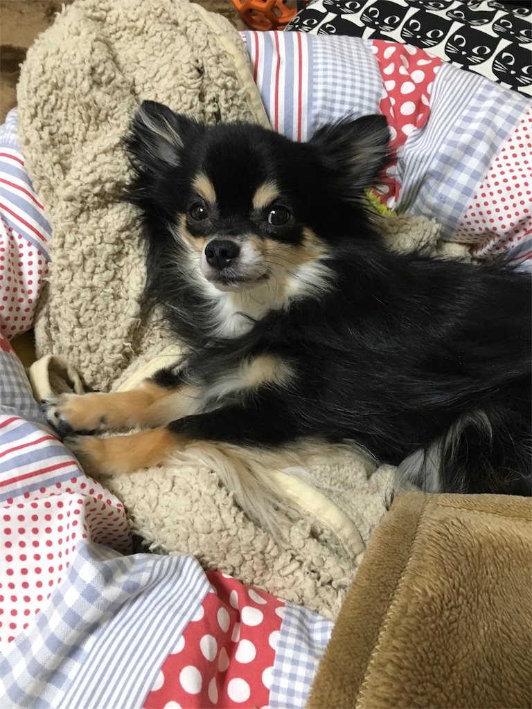 f:id:pnsk:20180413013839j:image