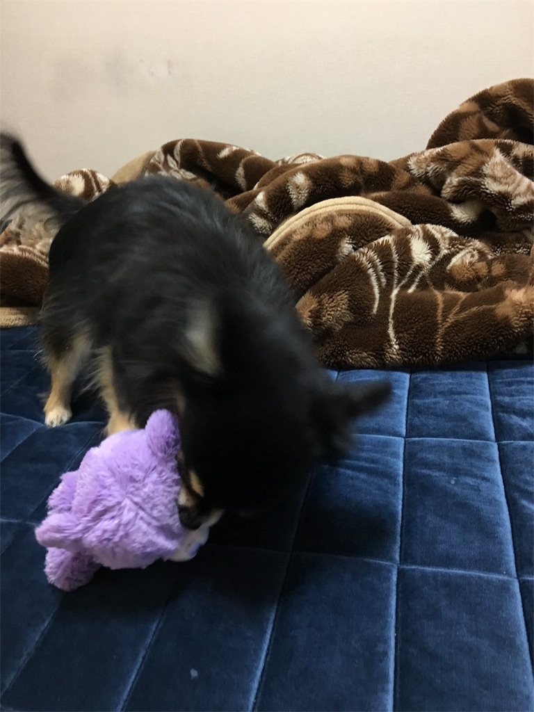 f:id:pnsk:20180413015358j:image