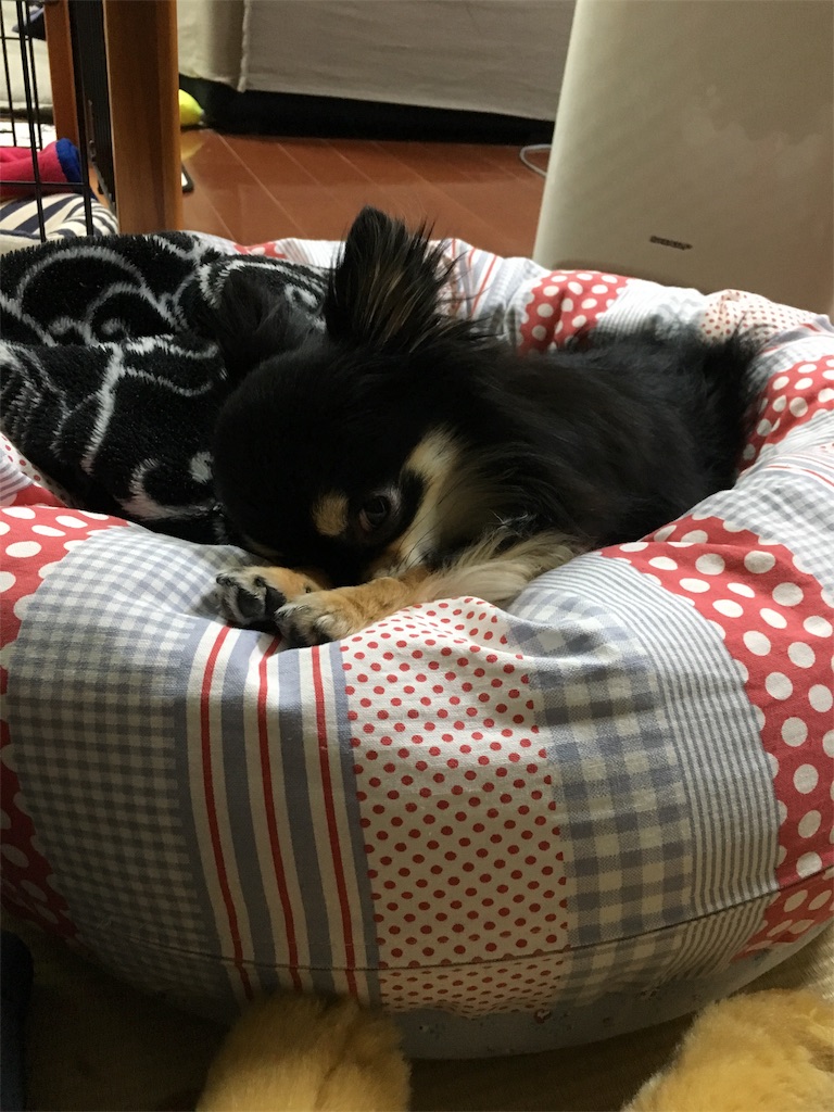 f:id:pnsk:20180413015508j:image