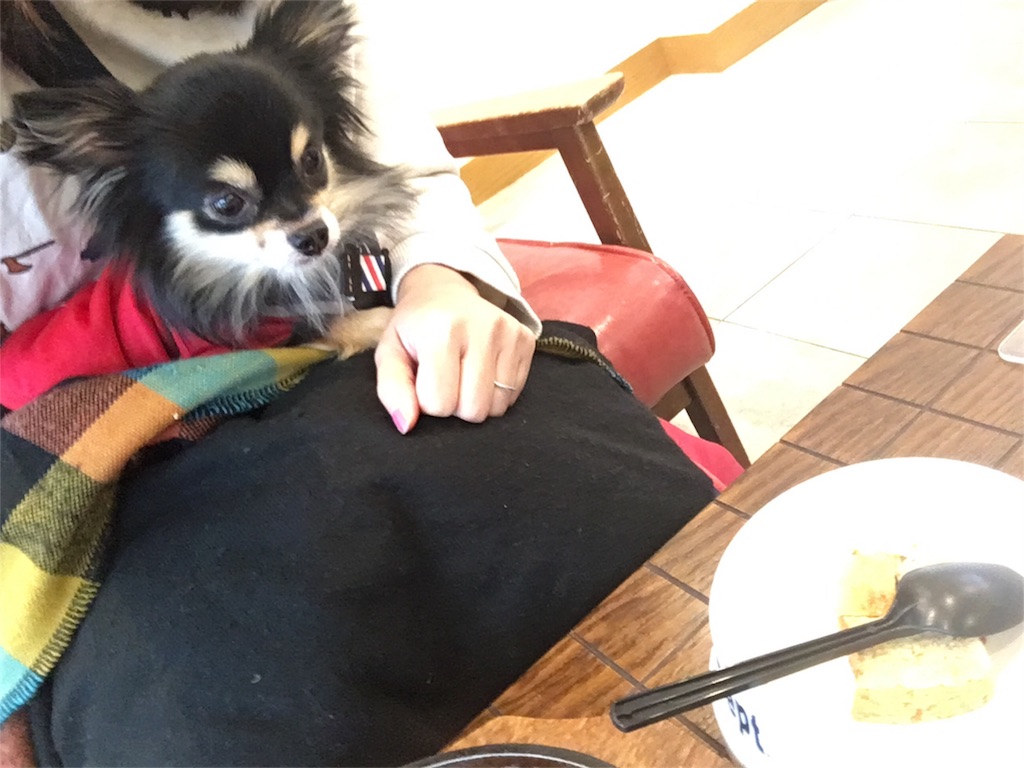 f:id:pnsk:20180413015546j:image