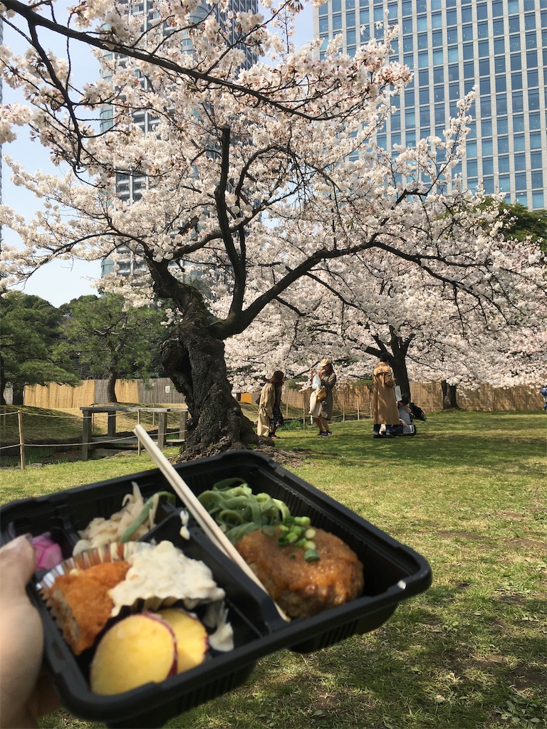 f:id:pnsk:20180413015708j:image