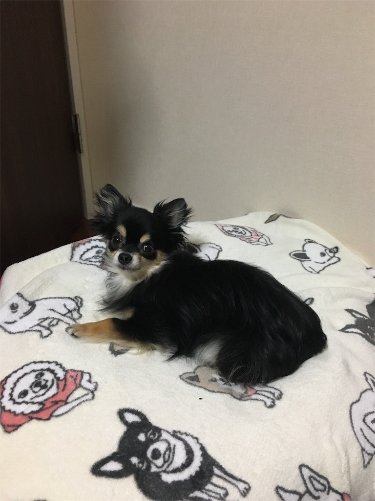 f:id:pnsk:20180413015821j:image