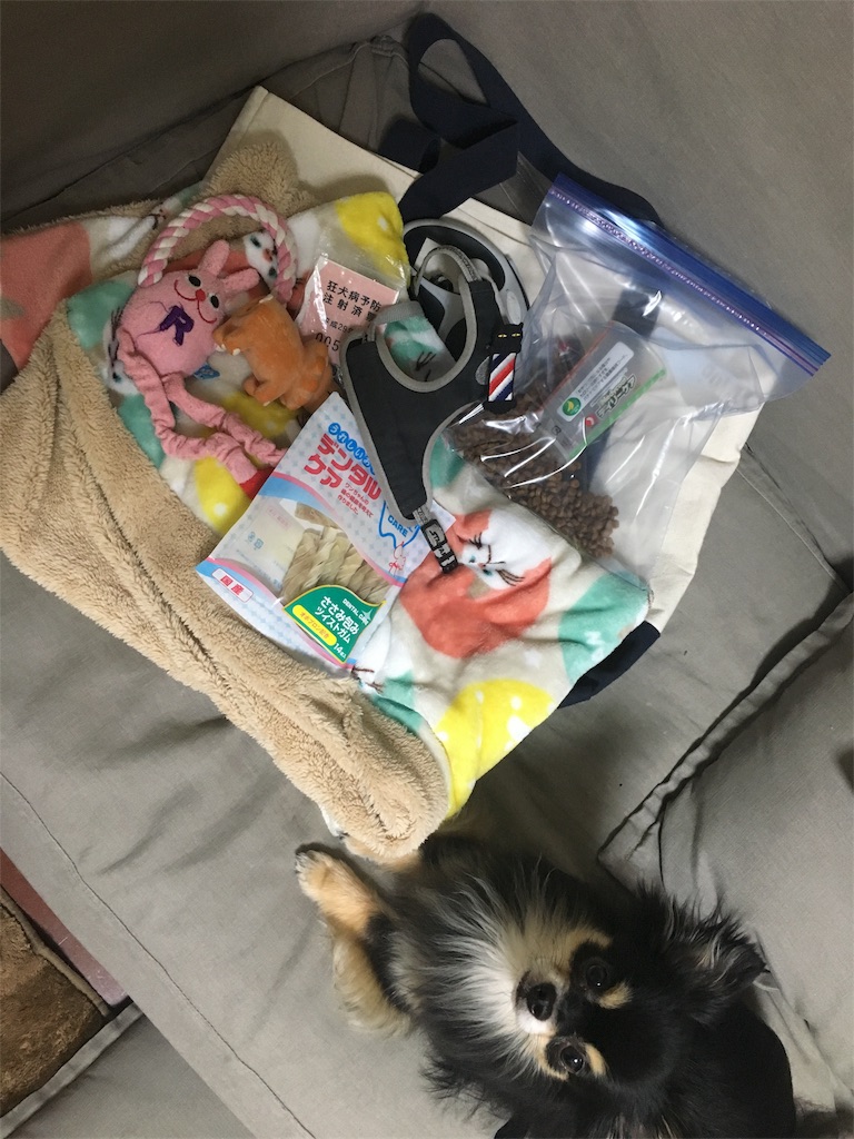 f:id:pnsk:20180413015848j:image