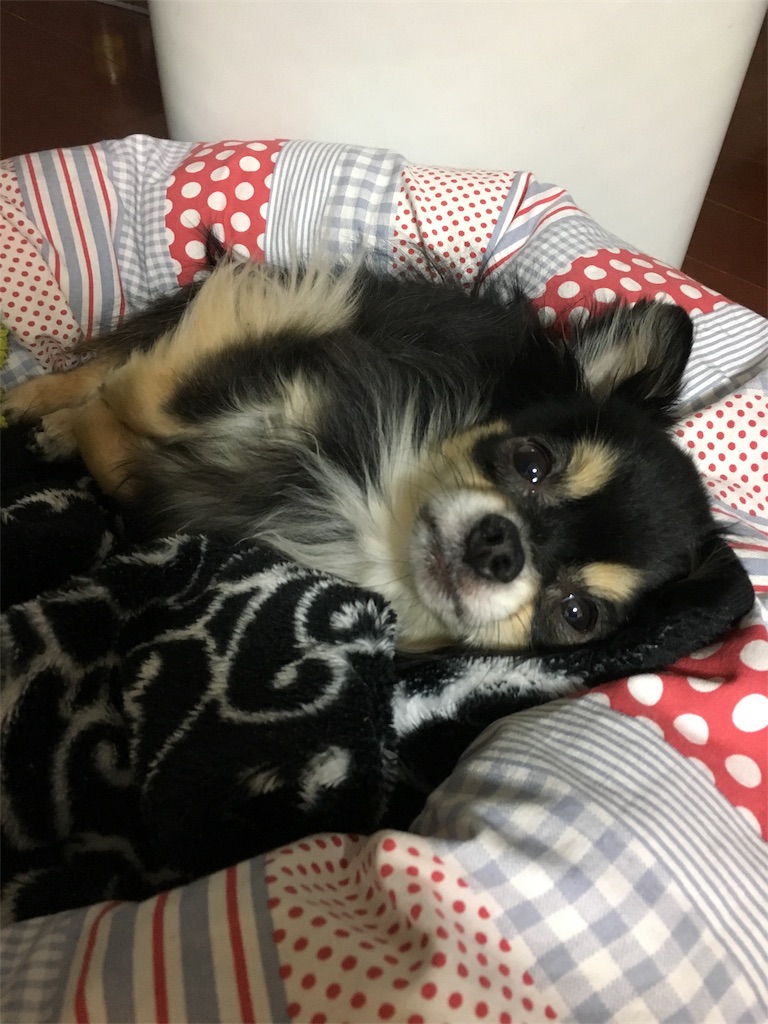 f:id:pnsk:20180413015922j:image