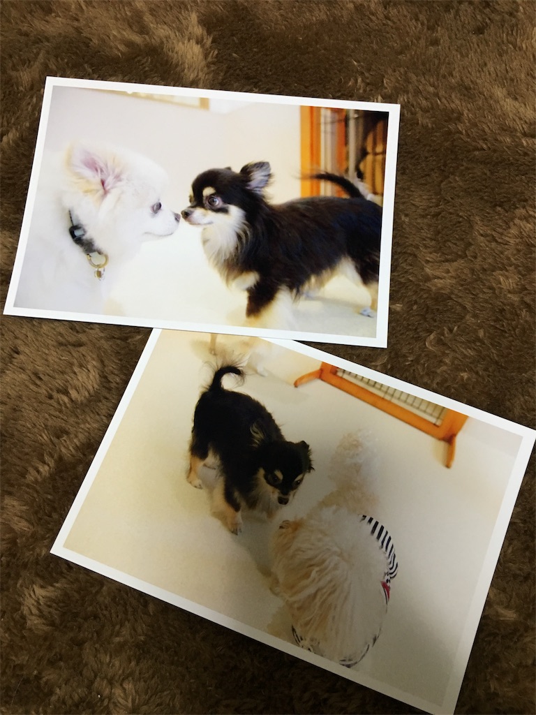 f:id:pnsk:20180413020011j:image