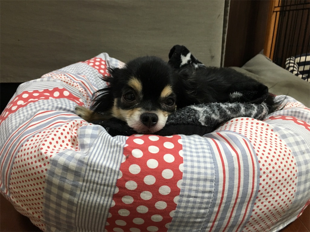 f:id:pnsk:20180707185146j:image