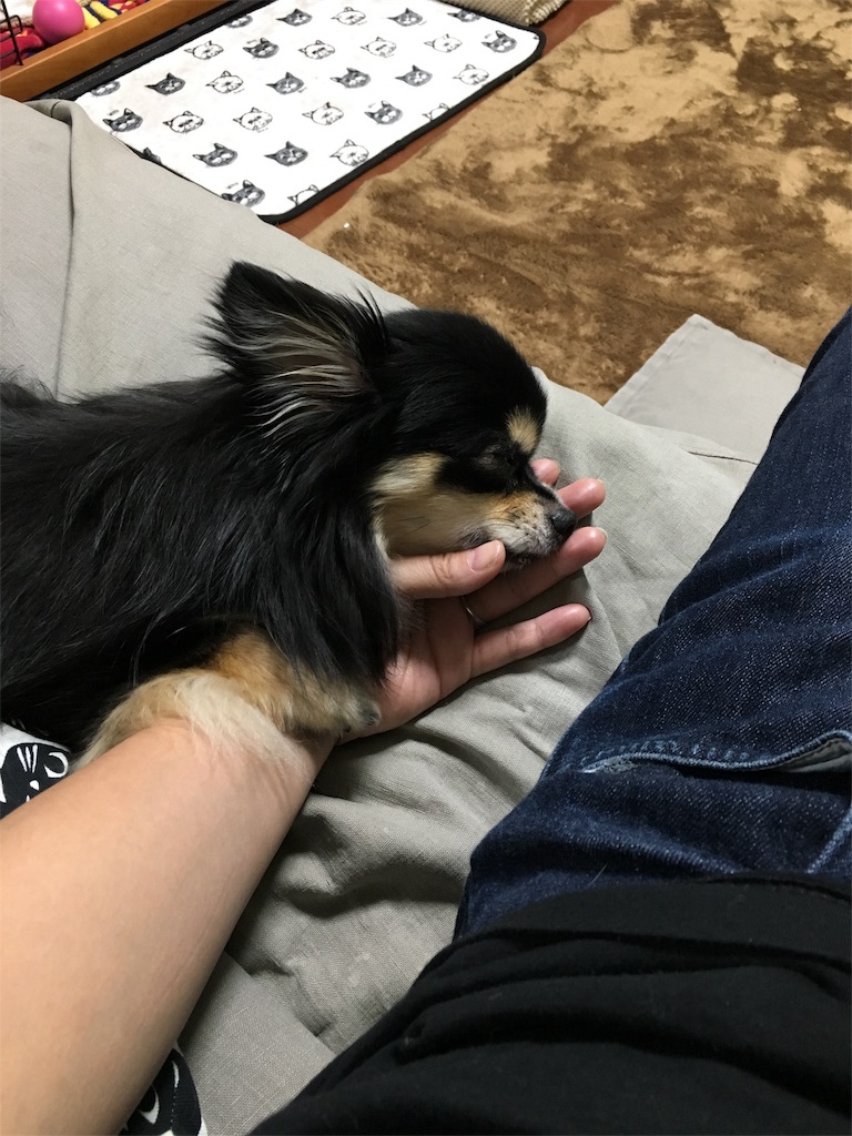 f:id:pnsk:20180707185206j:image
