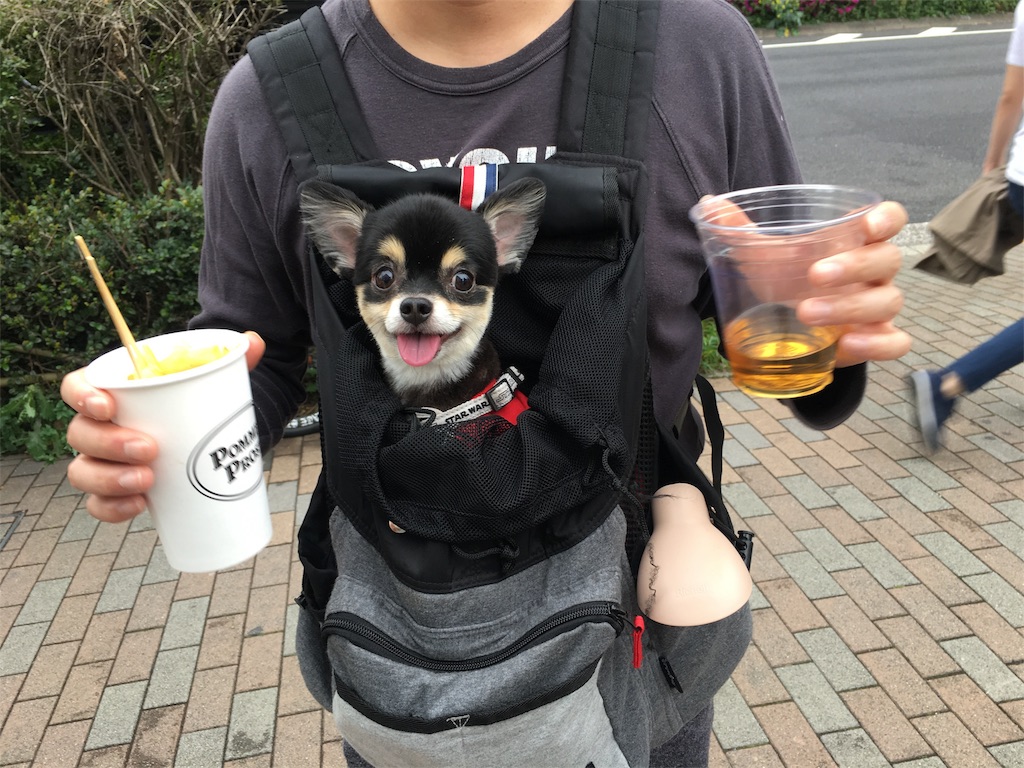 f:id:pnsk:20180707185233j:image