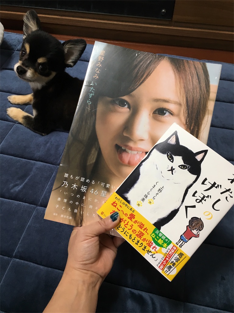 f:id:pnsk:20180707185237j:image