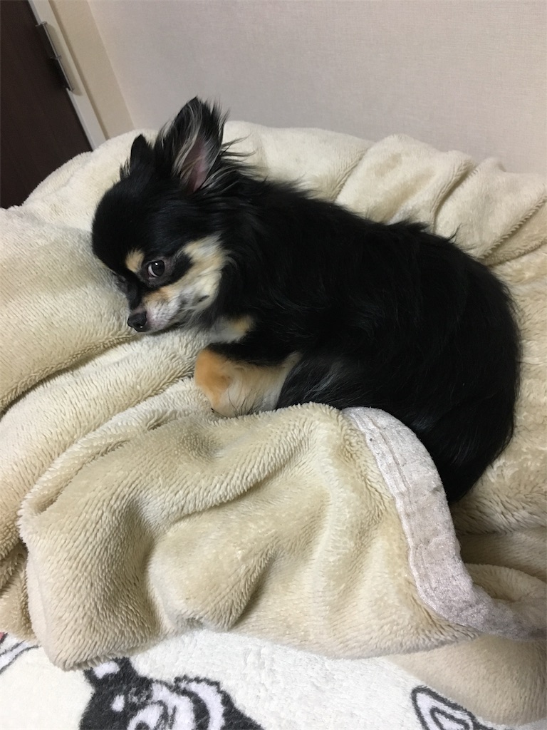 f:id:pnsk:20180707185245j:image