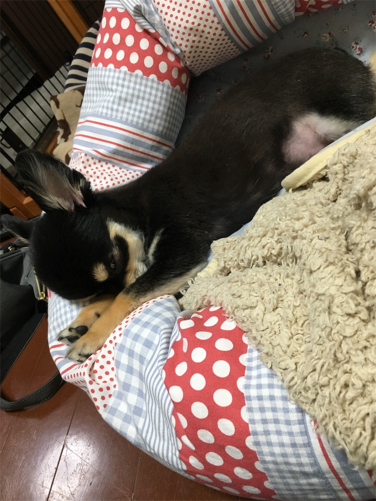 f:id:pnsk:20180707185353j:image