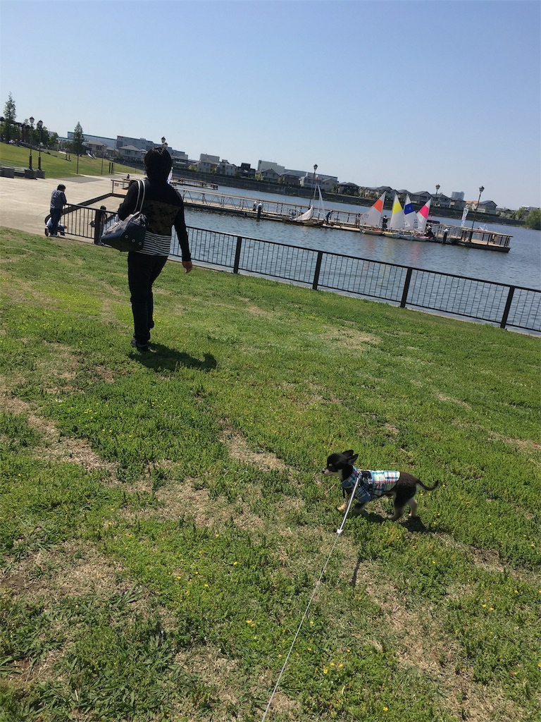 f:id:pnsk:20180707185419j:image