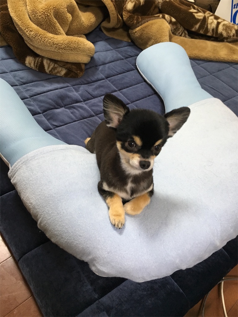 f:id:pnsk:20180707185429j:image