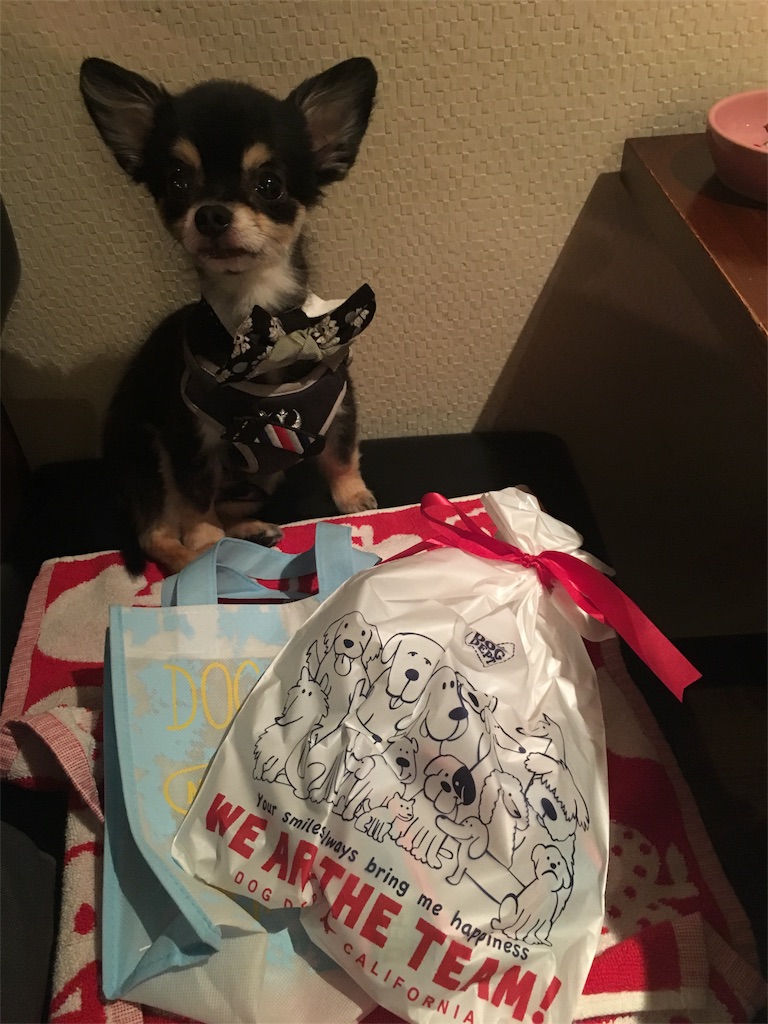 f:id:pnsk:20181022033159j:image