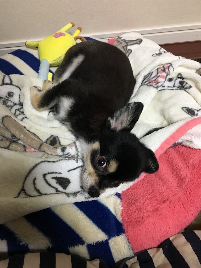 f:id:pnsk:20181022033205j:image