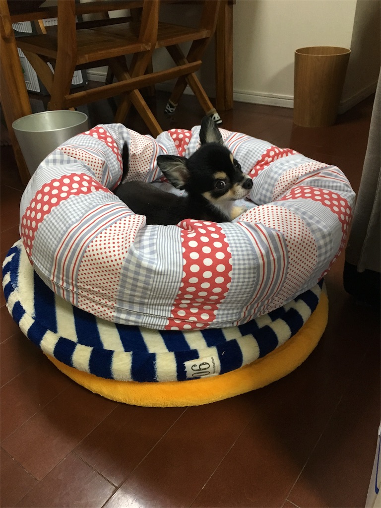 f:id:pnsk:20181022033208j:image