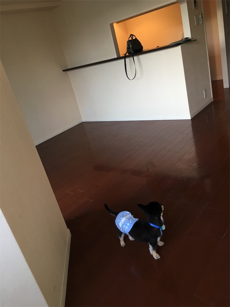 f:id:pnsk:20181022033216j:image