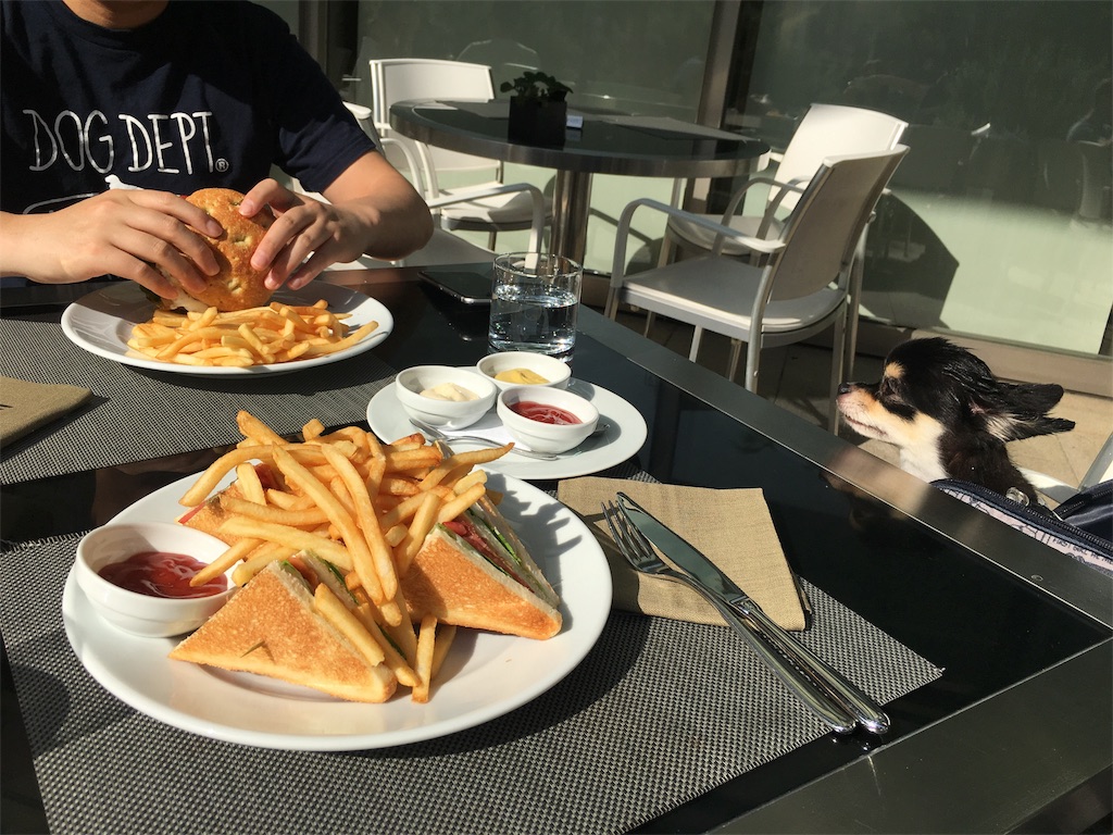 f:id:pnsk:20181022033228j:image