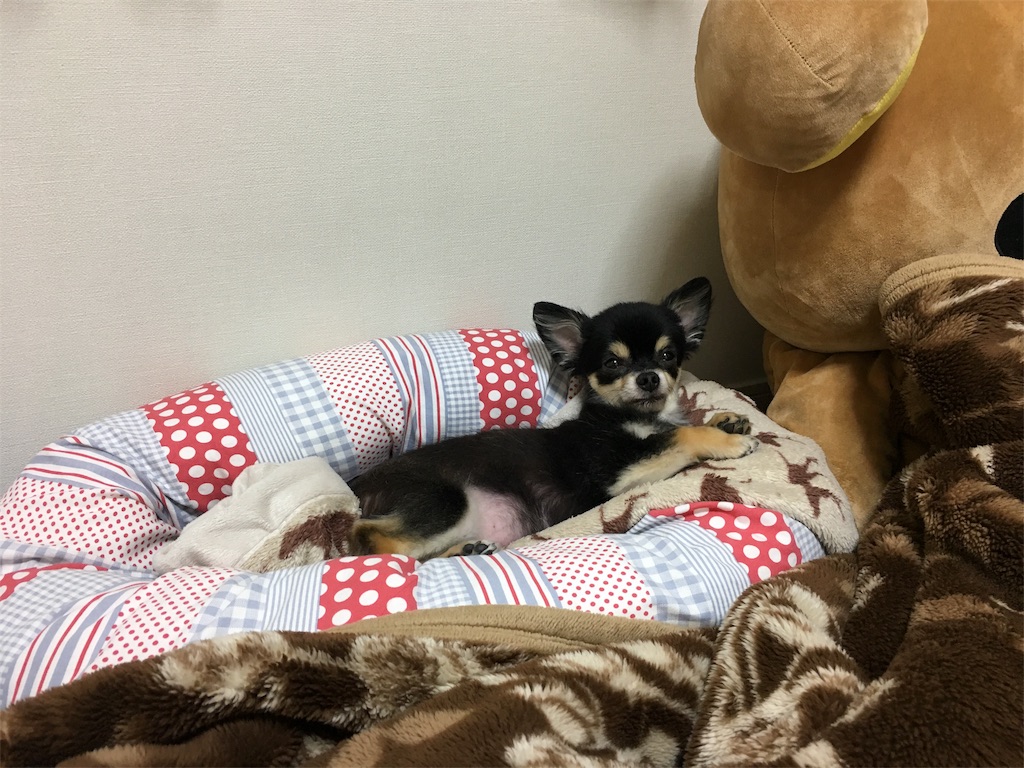 f:id:pnsk:20181022033236j:image
