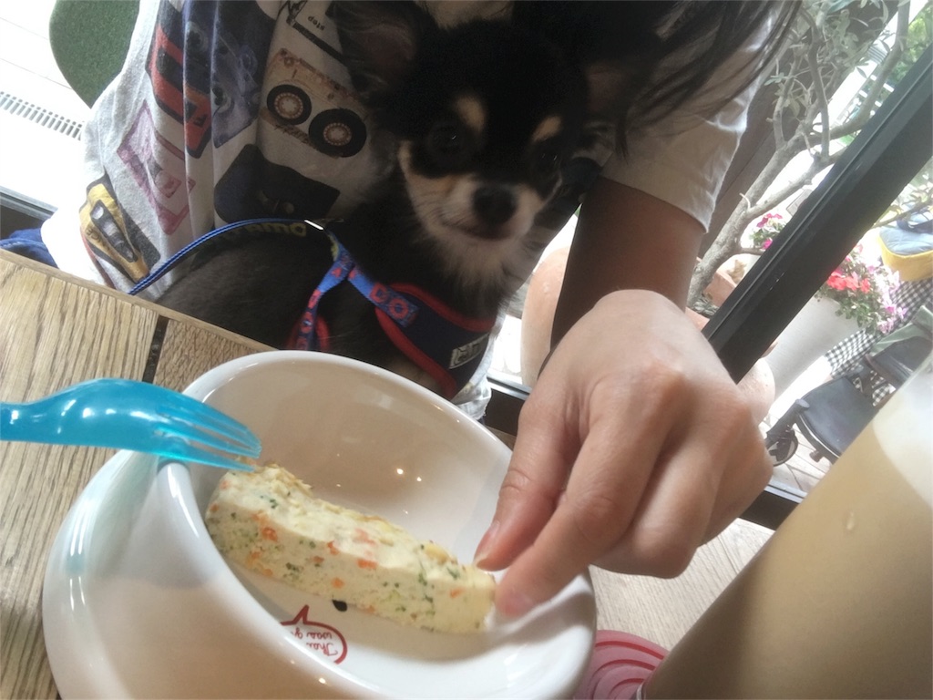 f:id:pnsk:20181022033302j:image