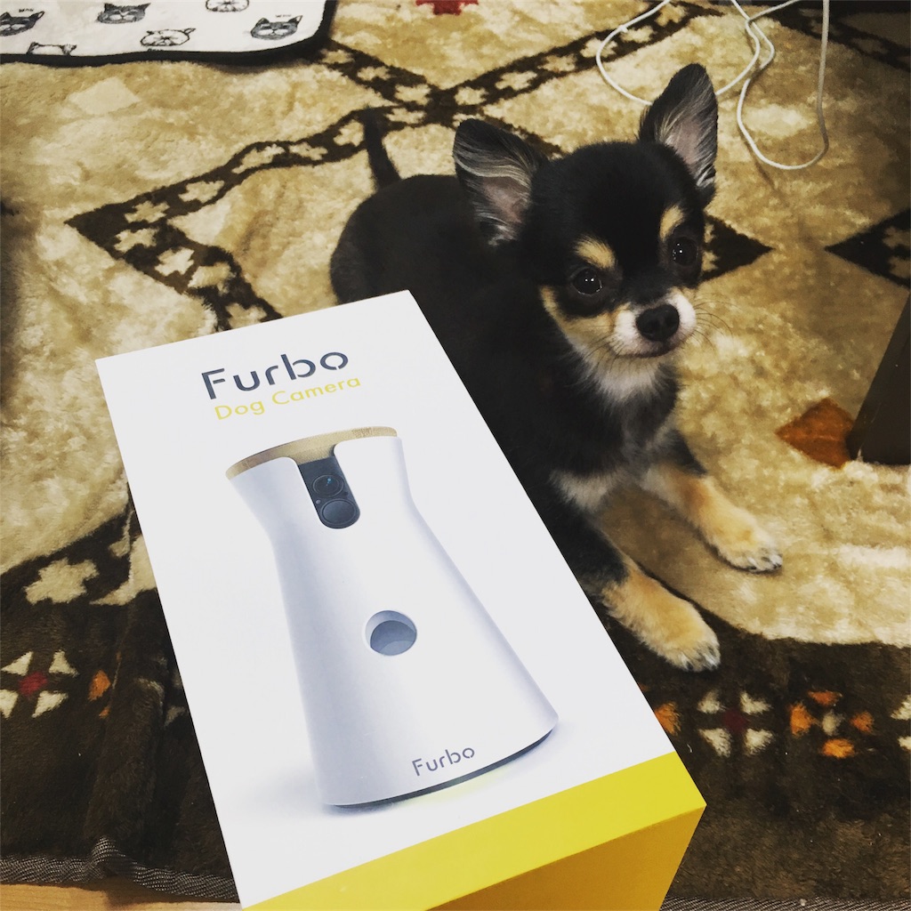 f:id:pnsk:20181022033305j:image