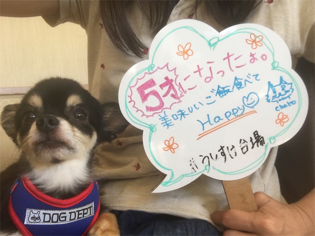 f:id:pnsk:20181022033314j:image