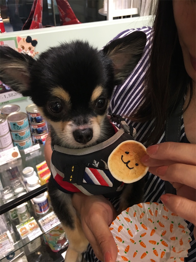 f:id:pnsk:20181022033328j:image