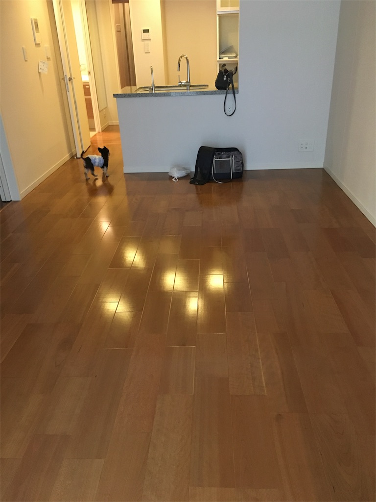 f:id:pnsk:20181022033342j:image