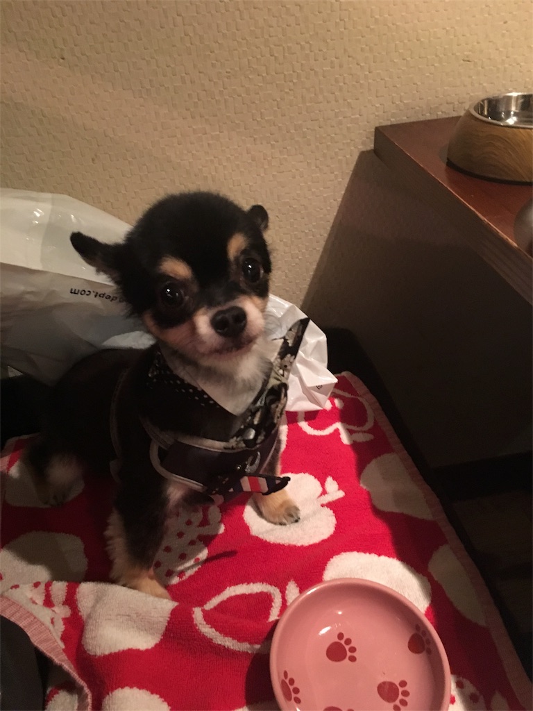 f:id:pnsk:20181022033347j:image