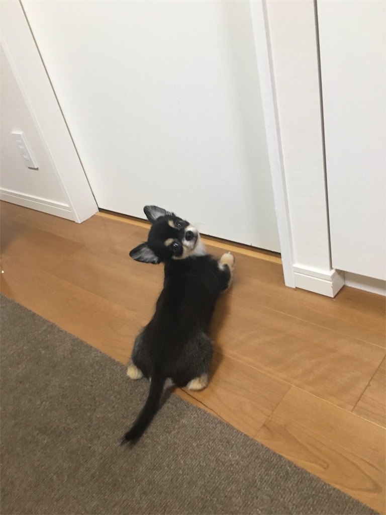 f:id:pnsk:20181022033352j:image