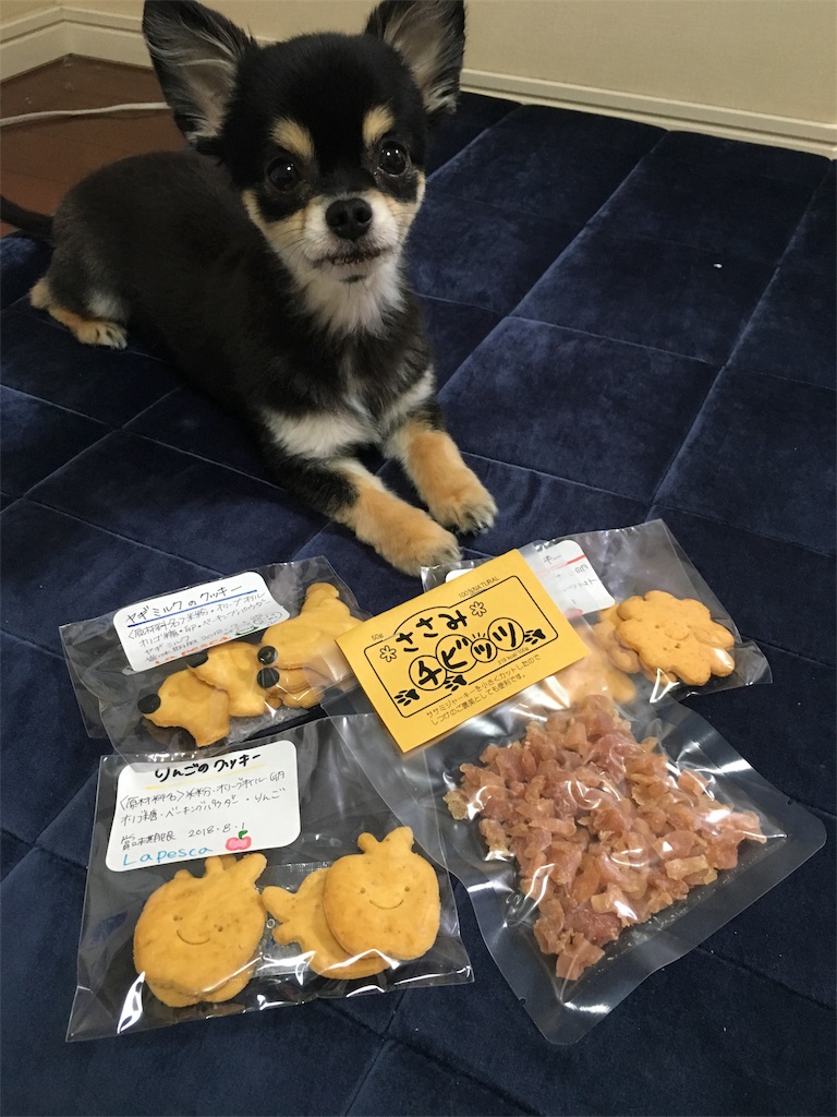 f:id:pnsk:20181022033354j:image