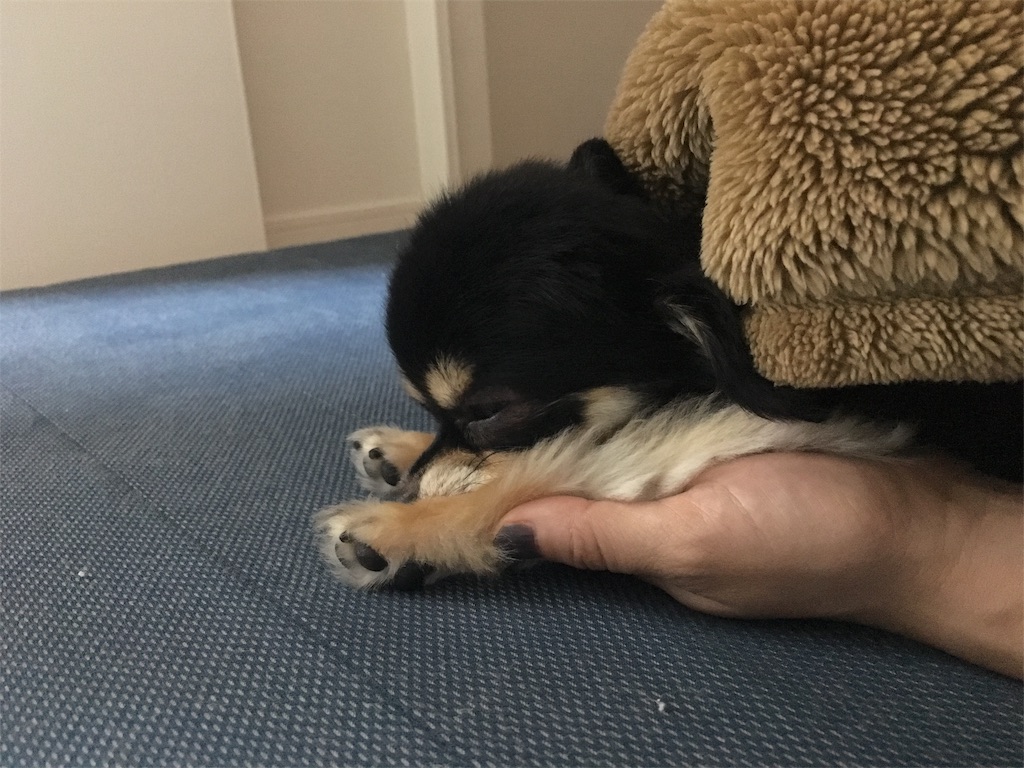f:id:pnsk:20181023020037j:image