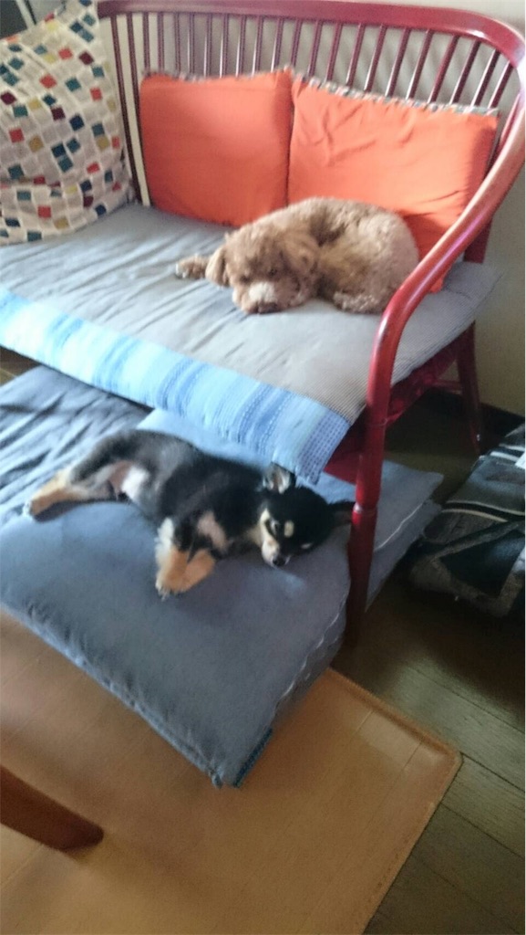 f:id:pnsk:20181023020120j:image