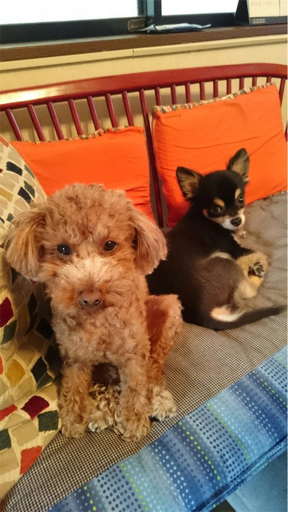 f:id:pnsk:20181023020129j:image