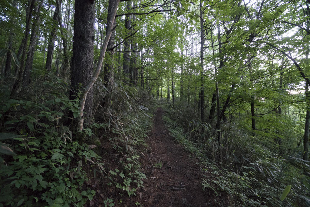 f:id:poQQun:20180712005501j:plain