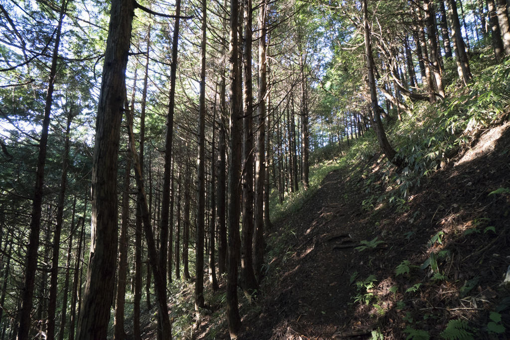 f:id:poQQun:20180712005911j:plain