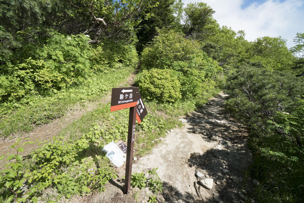 f:id:poQQun:20180712011303j:plain