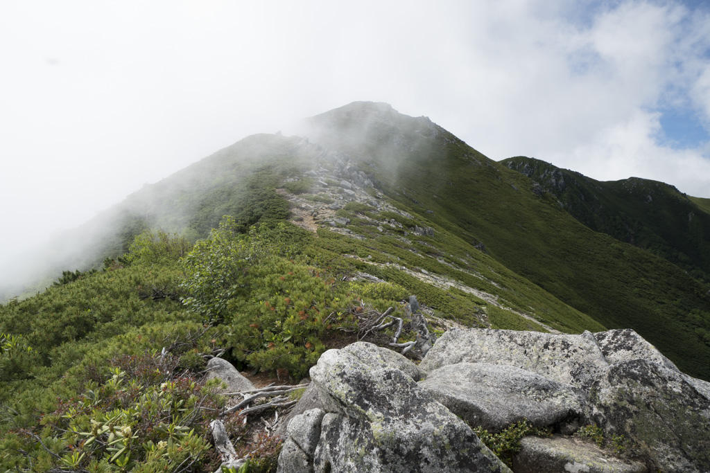 f:id:poQQun:20180712013100j:plain