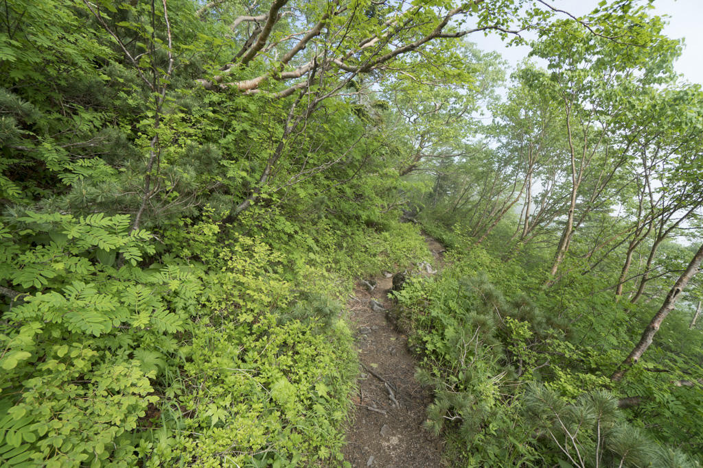 f:id:poQQun:20180712022334j:plain