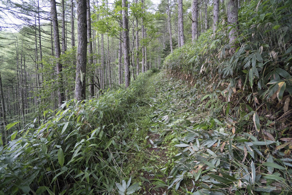 f:id:poQQun:20180712023951j:plain