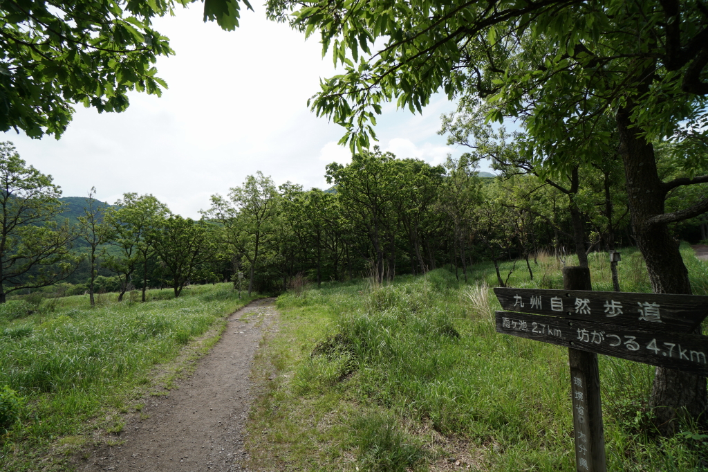 f:id:poQQun:20190618204505j:plain