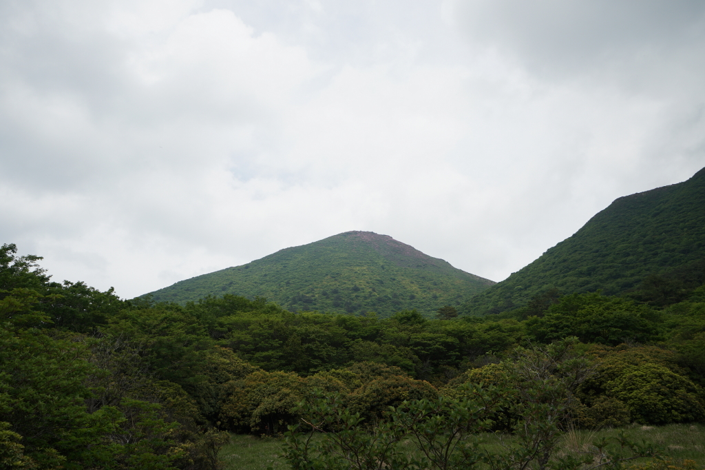 f:id:poQQun:20190618205549j:plain