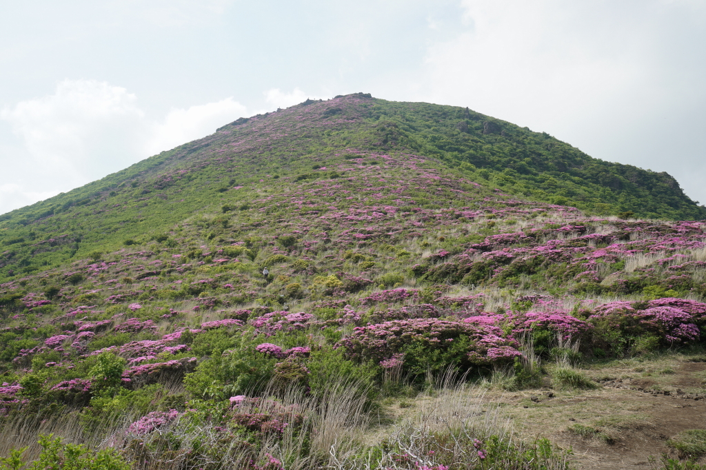 f:id:poQQun:20190618210204j:plain