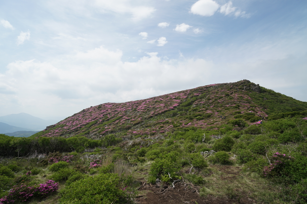 f:id:poQQun:20190618210450j:plain