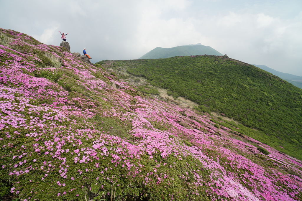 f:id:poQQun:20190618210916j:plain