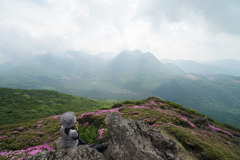 f:id:poQQun:20190618211402j:plain