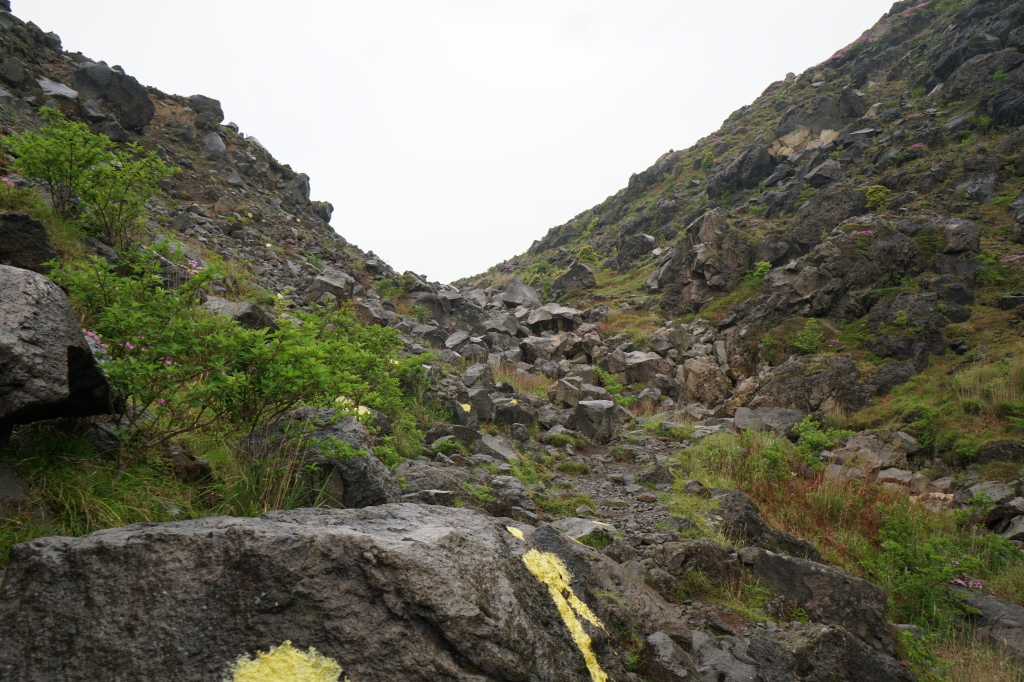 f:id:poQQun:20190618214855j:plain