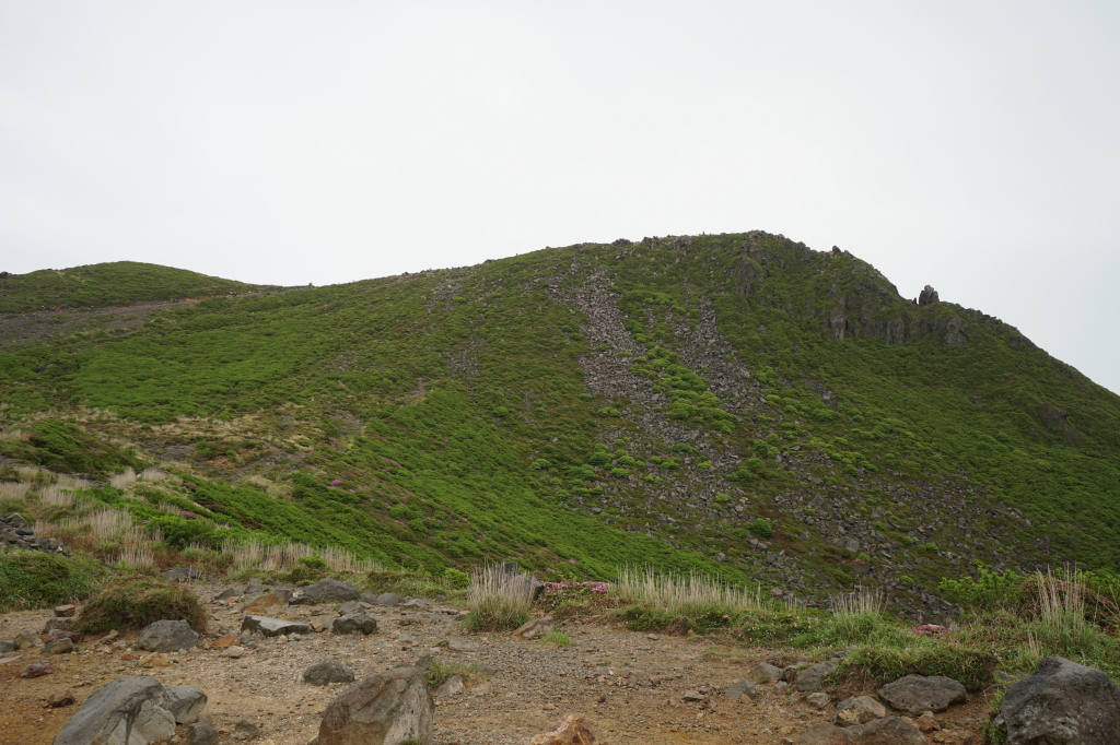 f:id:poQQun:20190618215622j:plain