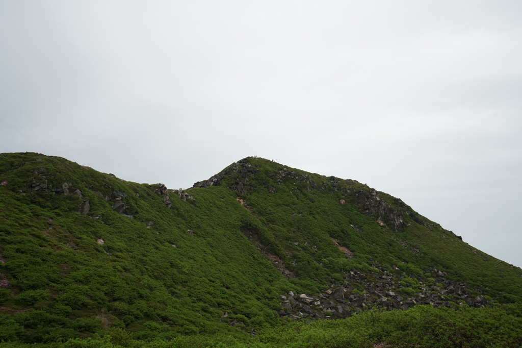 f:id:poQQun:20190618220630j:plain