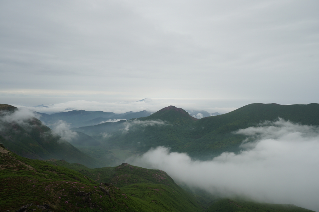 f:id:poQQun:20190618220922j:plain